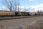 NS 10207